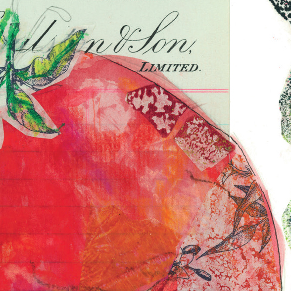 Love a Tomato (c) Fiona Willis Artwork