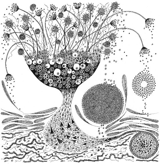 Falling Seeds, a print by Fiona Willis
