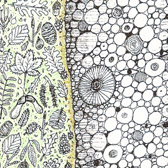 Leaf and Bark Stripes, a card by Fiona Willis