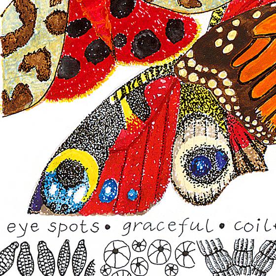 Butterfiles, a card by Fiona Willis
