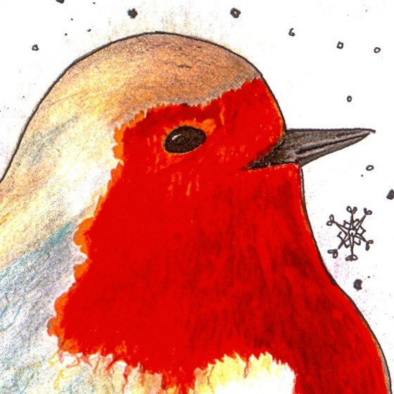 Christmas Robin, a card design by Fiona Willis