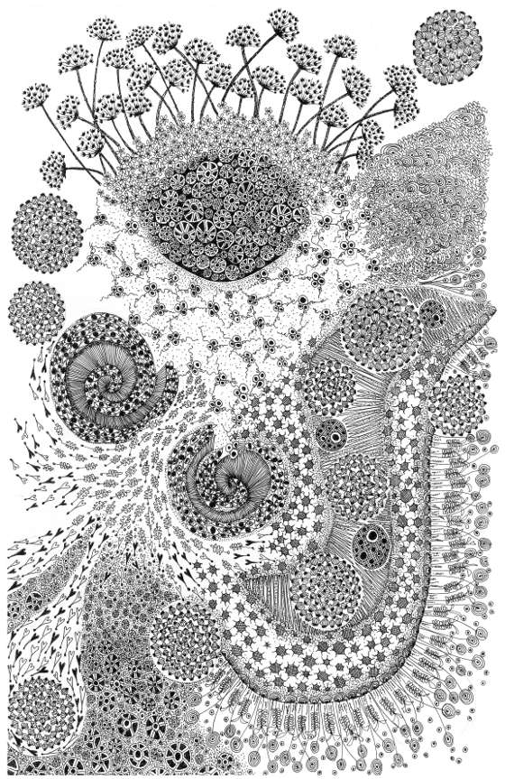 Black & White, a print by Fiona Willis