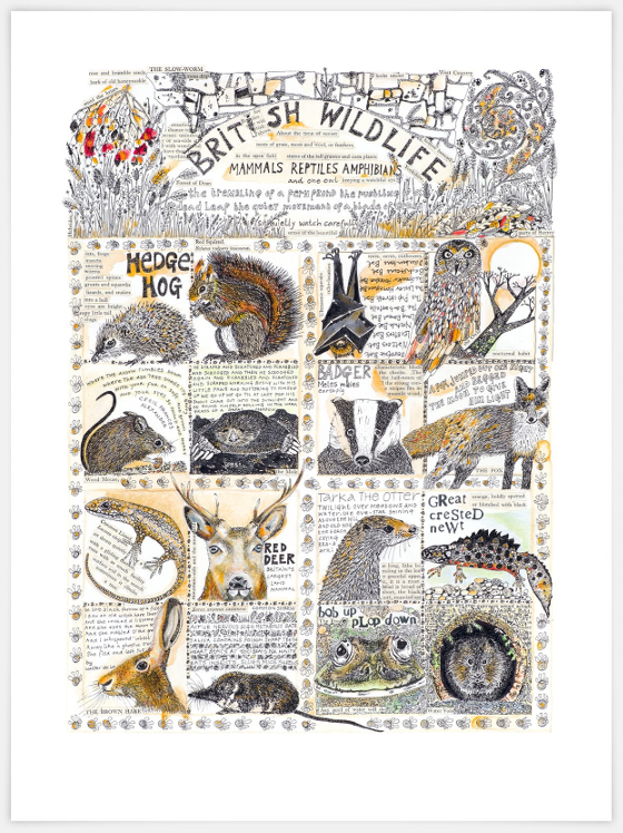 British Wildlife, a tea towel (c) Fiona Willis 2016